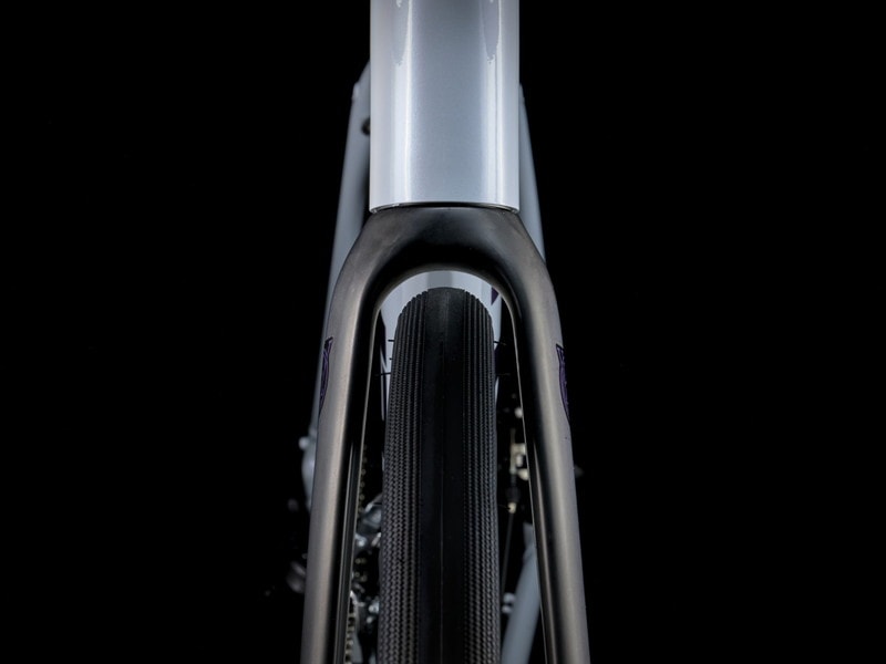TREK トレック Domane ドマーネ AL 2 Gen 4 Plasma Grey Pearl